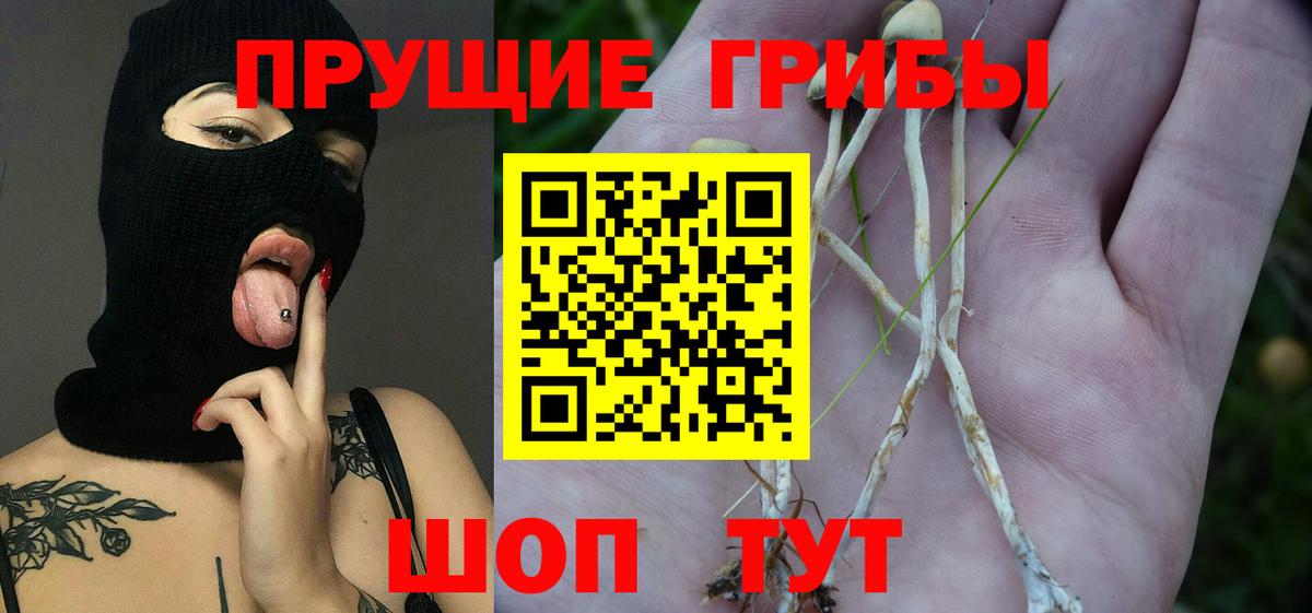 Галлюциногенные грибы мухоморы  Вход с VPN  Сочи 
